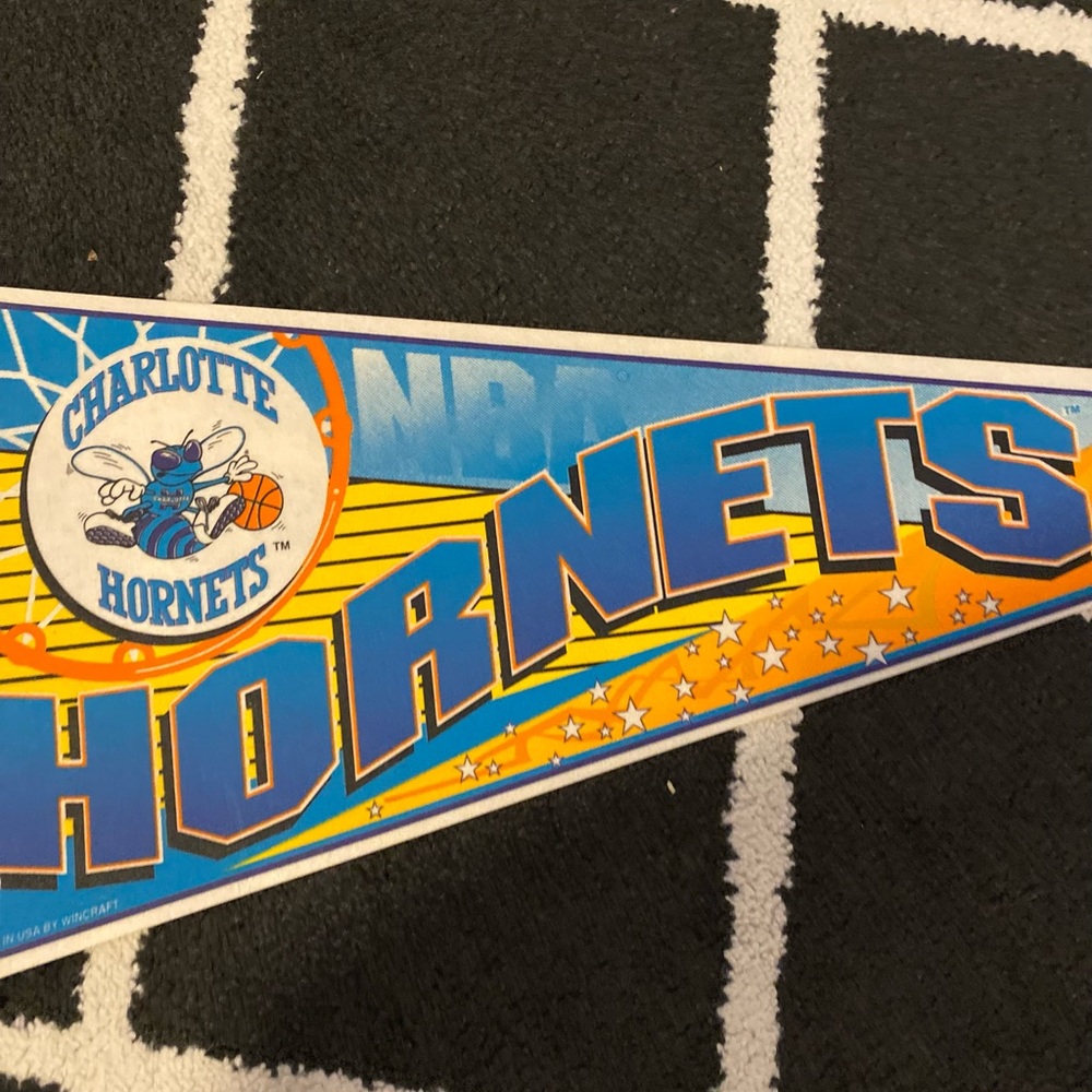 Vintage Charlotte Hornets 30”long x 12” wide pennant